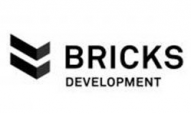 Bricks Development